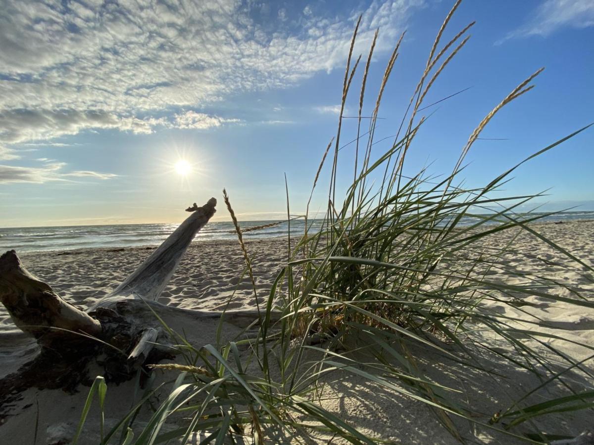 Fewo Unweit Warnemuende Sobierajczyk In Markgrafenheide Rostock Exteriör bild